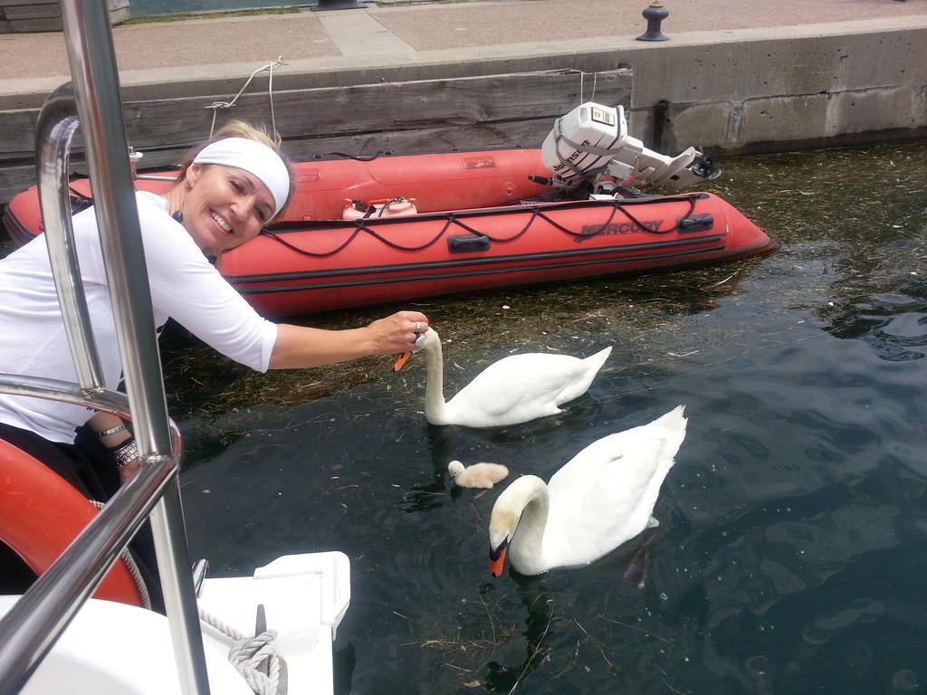 Bed and Breakfast Making Waves Boatel à Toronto Extérieur photo
